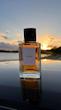عطر ادکلن سلین بلک تای ادوپرفیوم مردانه-زنانه Celine Black Tie Unisex EDP