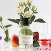 عطر ادکلن سنتولوژیا سینرژی ادوپرفیوم مردانه-زنانه Scentologia Syn.ergy Unisex EDP