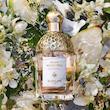 عطر ادکلن گرلن آکوا الگوریا پرا گرانیتا ادوتویلت زنانه Guerlain Aqua Allegoria Pera Granita for Women EDT