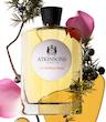 عطر ادکلن اتکینسونز-اتکینسون 24 اولد بوند استریت ادوکلون مردانه-زنانه Atkinsons 24 Old Bond Street Unisex EDC