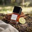 عطر ادکلن بوهوبوکو وایلد کاروت عود پارفوم-پرفیوم مردانه-زنانه Bohoboco Wild Carrot Oud Parfum Unisex