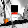 عطر ادکلن بوهوبوکو وایلد کاروت عود پارفوم-پرفیوم مردانه-زنانه Bohoboco Wild Carrot Oud Parfum Unisex