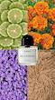 Bal d'Afrique Byredo Eau de Parfum عطر یونیسکس سبز و چوبی بایردو