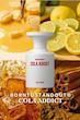 عطر Cola Addict BORNTOSTANDOUT با رایحه کولا، مرکبات، وانیل و کارامل