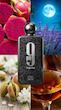 عطر یونی‌سکس Afnan 9 PM Night Out با رایحه میوه اژدها، کنیاک، تافی، جیر، تونکا و چوب