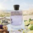 عطر مردانه Rasasi Hawas for Him با رایحه سیب، لیمو، برگاموت، آلو، دارچین، نت‌های آبی، عنبر خاکستری، مشک و چوب