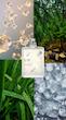 عطر Escentric 02 اسنتریک مولکیولز زنانه و مردانه با رایحه Ambroxan