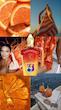 عطر Casamorati Levar del Sole Xerjoff لور دل سوله زنانه و مردانه اصل