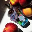 عطر یونیسکس Tempio d'Acqua Casamorati 1888 با رایحه هلو، نارنگی، ماهونیال، وانیل و مُر