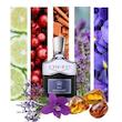 عطر Creed Iris Debonair 2026 با رایحه زنبق پالیدا، اسطوخودوس انگلیسی و نت‌های آروماتیک و چوبی