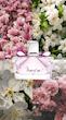 عطر زنانه Marry Me با رایحه گل و میوه