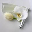 عطر لئو د ایسی L’Eau d’Issey زنانه با رایحه گلی و آبی