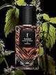 عطر ایو سن لوران تاکسیدو 66 پچولی اکستریت YSL Tuxedo 66 Patchouli Extrait de Parfum اصل