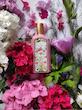 عطر زنانه گوچی فلورا گورجس گاردنیا Gucci Flora Gorgeous Gardenia