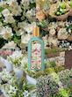 عطر گوچی فلورا گورجس جاسمین GUCCI Flora Gorgeous Jasmine ادو پرفیوم زنانه