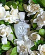 عطر ادکلن کرید لاو این وایت ادوپرفیوم زنانه Creed Love in White EDP