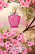 عطر ادکلن کرید اسپرینگ فلاور ادوپرفیوم زنانه Creed Spring Flower 