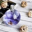 عطر زنانه Eclat d’Arpège Lanvin با رایحه گلی، سبز و شاداب