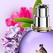 عطر ادکلن لانوین اکلت زنانه Lanvin Eclat d´Arpege