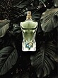 عطر ادکلن ژان پل گوتیه له بو پارادایس گاردن ادوپرفیوم مردانه Jean Paul Gaultier Le Beau Paradise Garden EDP