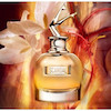 عطر ادکلن ژان پل گوتیه اسکندال گلد ادوپرفیوم زنانه Jean Paul Gaultier Scandal Gold EDP