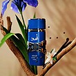 عطر ادکلن لطافه اسد زانزیبار (سرمه ای) ادوپرفیوم مردانه Lattafa Asad Zanzibar for Men EDP