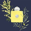 عطر ادکلن آمواج لاو میموسا ادوپرفیوم زنانه Amouage Love Mimosa for Women EDP