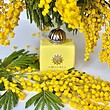 عطر ادکلن آمواج لاو میموسا ادوپرفیوم زنانه Amouage Love Mimosa for Women EDP