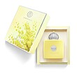 عطر ادکلن آمواج لاو میموسا ادوپرفیوم زنانه Amouage Love Mimosa for Women EDP