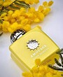 عطر ادکلن آمواج لاو میموسا ادوپرفیوم زنانه Amouage Love Mimosa for Women EDP