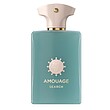 عطر ادکلن آمواج سرچ ادوپرفیوم مردانه-زنانه Amouage Search Unisex EDP