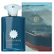 عطر ادکلن آمواج انکلیو ادوپرفیوم مردانه-زنانه Amouage Enclave Unisex EDP