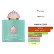 عطر ادکلن آمواج لینیج ادوپرفیوم مردانه-زنانه Amouage Lineage Unisex EDP