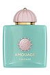 عطر ادکلن آمواج لینیج ادوپرفیوم مردانه-زنانه Amouage Lineage Unisex EDP