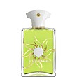 عطر ادکلن آمواج سان شاین ادوپرفیوم مردانه Amouage Sunshine for Men EDP