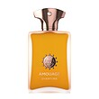 عطر ادکلن آمواج اورچر-اورتور ادوپرفیوم مردانه Amouage Overture for Men EDP