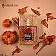 عطر ادکلن لطافه خمره ادوپرفیوم مردانه-زنانه (مشابه رایحه آنجلز شیر بای کیلیان) Lattafa Khamrah Unisex EDP