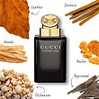 عطر ادکلن گوچی اینتنس عود ادوپرفیوم مردانه-زنانه Gucci Intense Oud Unisex EDP