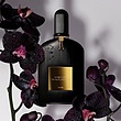 عطر ادکلن تام فورد بلک ارکید ادوپرفیوم زنانه Tom Ford Black Orchid Woman EDP