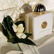 عطر زنانه Honour Woman Amouage با رایحه مریم، گاردنیا، یاس، ریواس، کندر و چرم