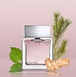 عطر ادکلن سی کی (کلوین کلین) ایفوریا مردانه Ck (Calvin Klein) Euphoria