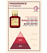 عطر ادکلن فرانسیس کورکجان باکارات رژ اکستریت د پارفوم قرمز مردانه-زنانه Francis Kurkdjian Baccarat Rouge 540 Extrait de Parfum Unisex