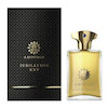 عطر ادکلن آمواج جوبیلیشن 25 ادوپرفیوم مردانه Amouage Jubilation XXV (25) for Men EDP
