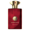 عطر ادکلن آمواج جورنی-ژورنی ادوپرفیوم مردانه Amouage Journey for Men EDP