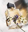 عطر ادکلن ایو سن لوران ادوپرفیوم لیبر(لیبغ) زنانه Yves Saint Laurent Libre Eau de Perfume