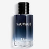 عطر ادکلن دیور ساواج (ساوج-ساواژ) ادوتویلت مردانه Dior Sauvage for Men EDT