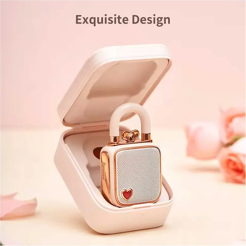 مینی اسپیکر بلوتوثی قابل حمل شارژی دیووم LOVE LOCK Divoom LoveLock
