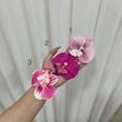 گیرسر اورکیده🌺