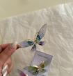گل سینه بابونه 