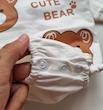 بادی لش تدی چاپی 🐻
